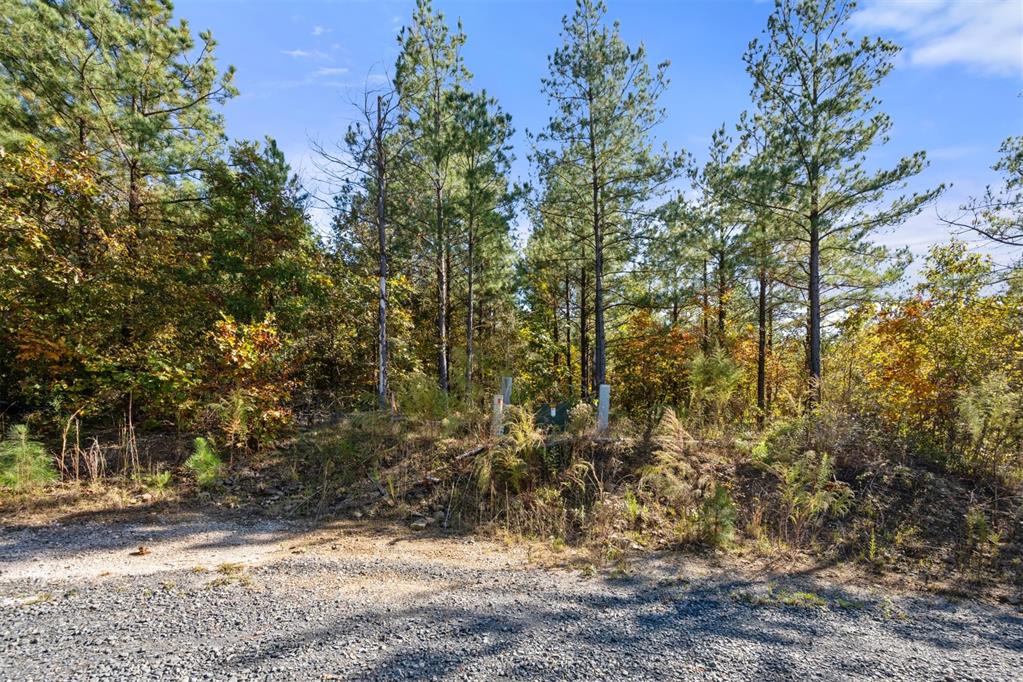 14 Gopher Wood Trail