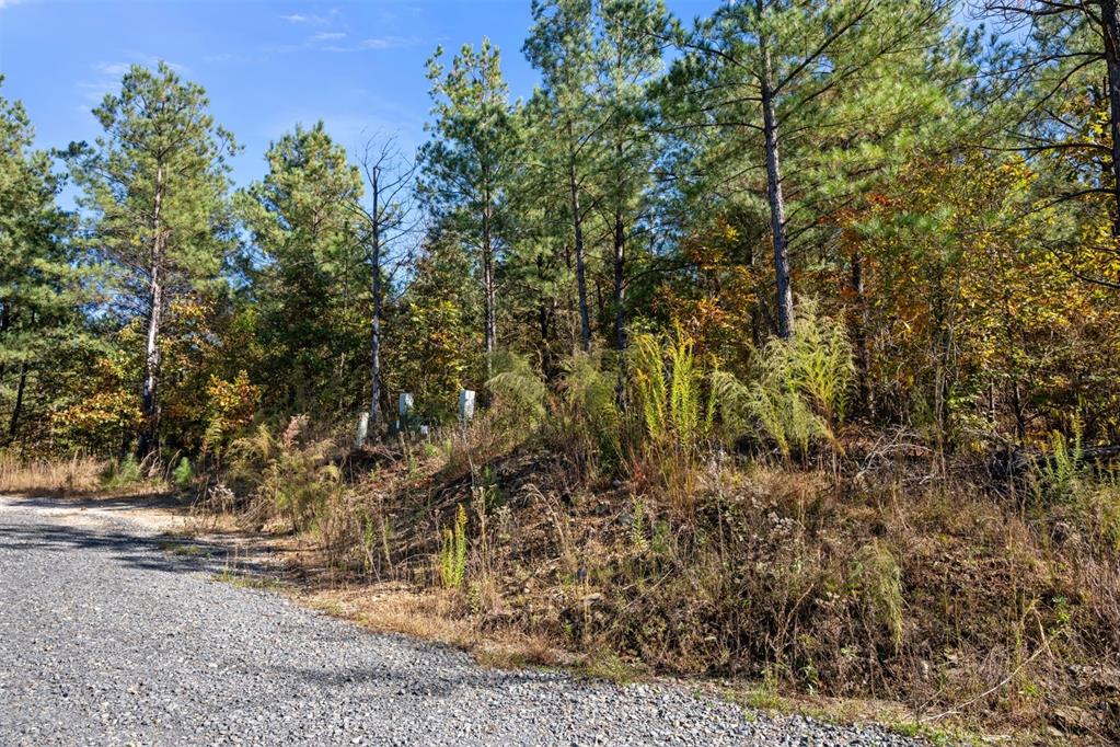 14 Gopher Wood Trail