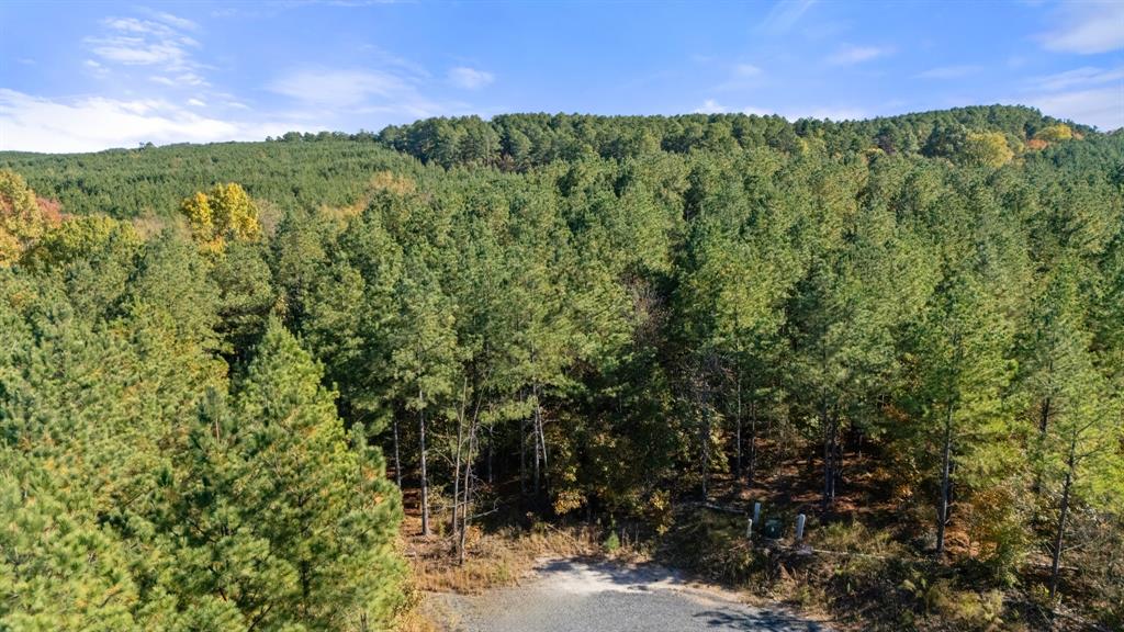 14 Gopher Wood Trail