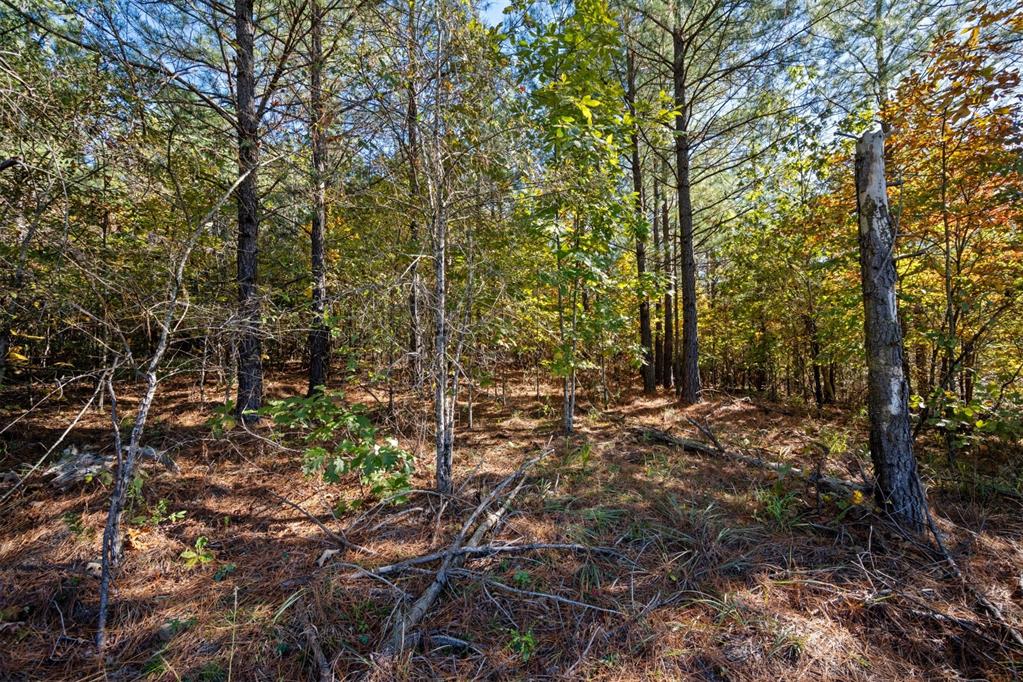 14 Gopher Wood Trail