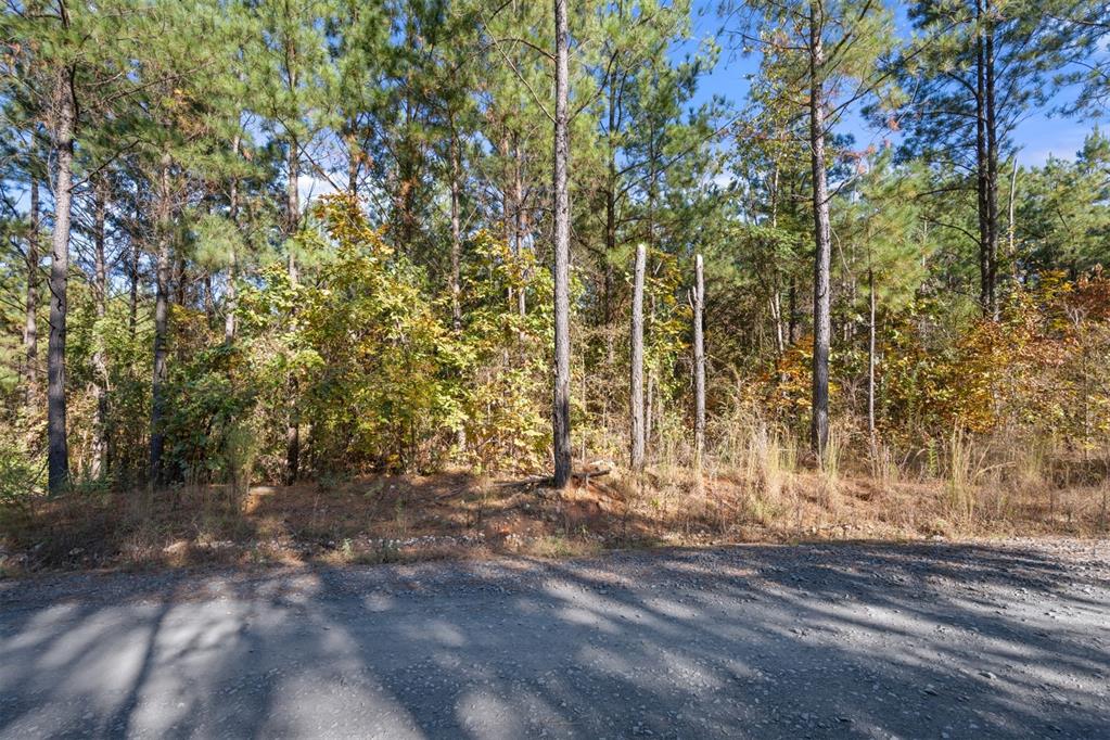 24 Cedar Tree Trail