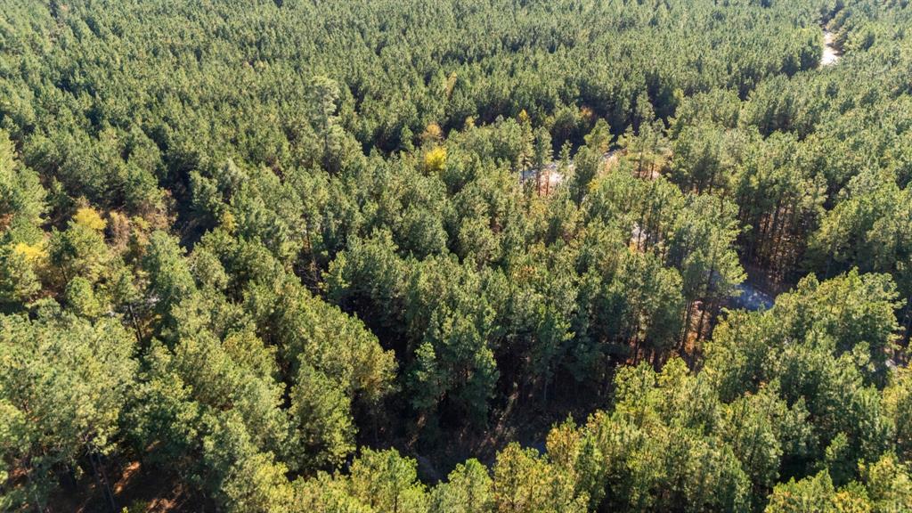 24 Cedar Tree Trail
