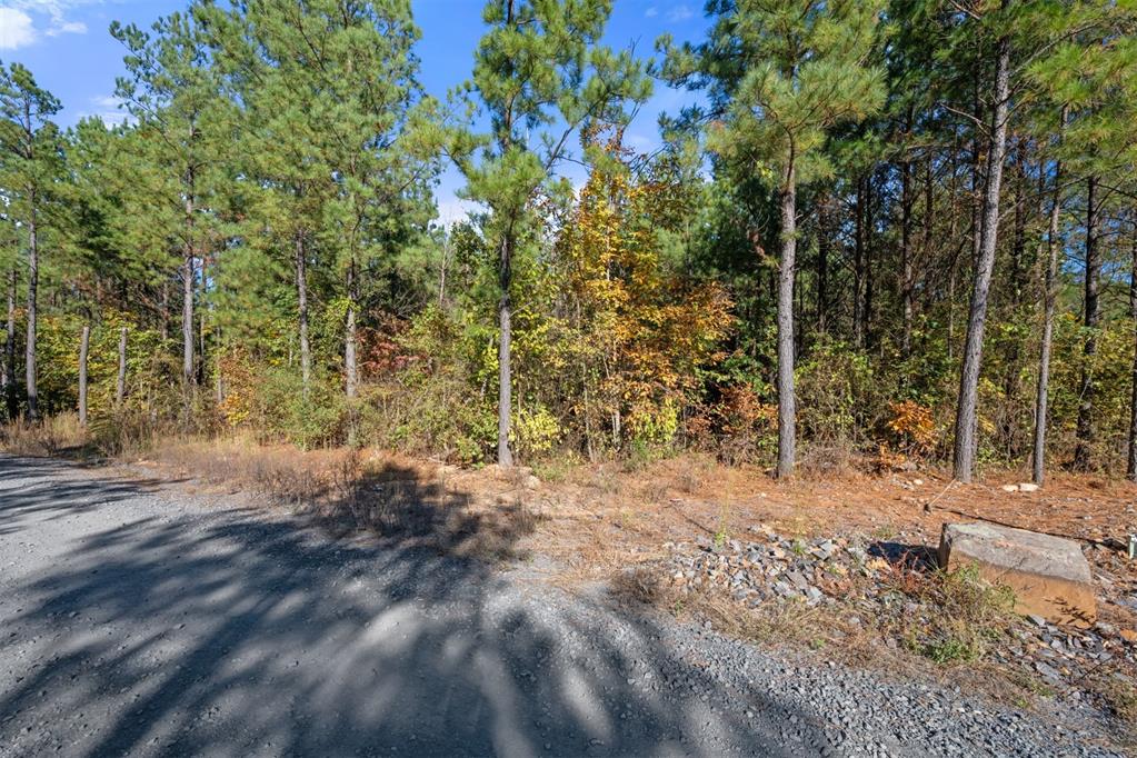 24 Cedar Tree Trail