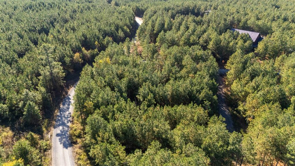 24 Cedar Tree Trail