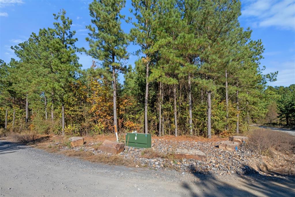 24 Cedar Tree Trail