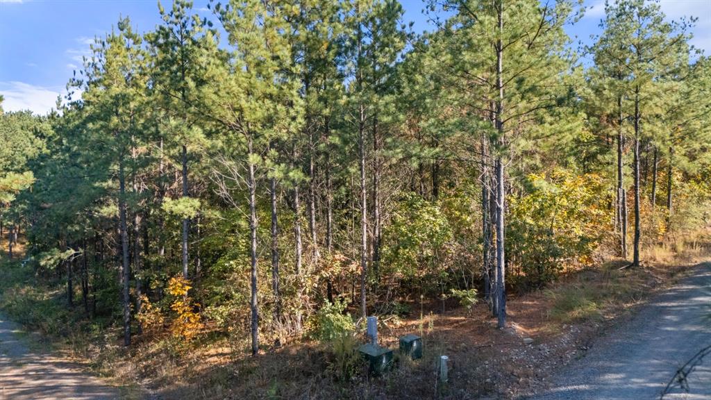 24 Cedar Tree Trail