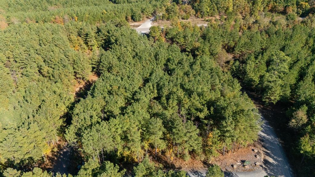 24 Cedar Tree Trail