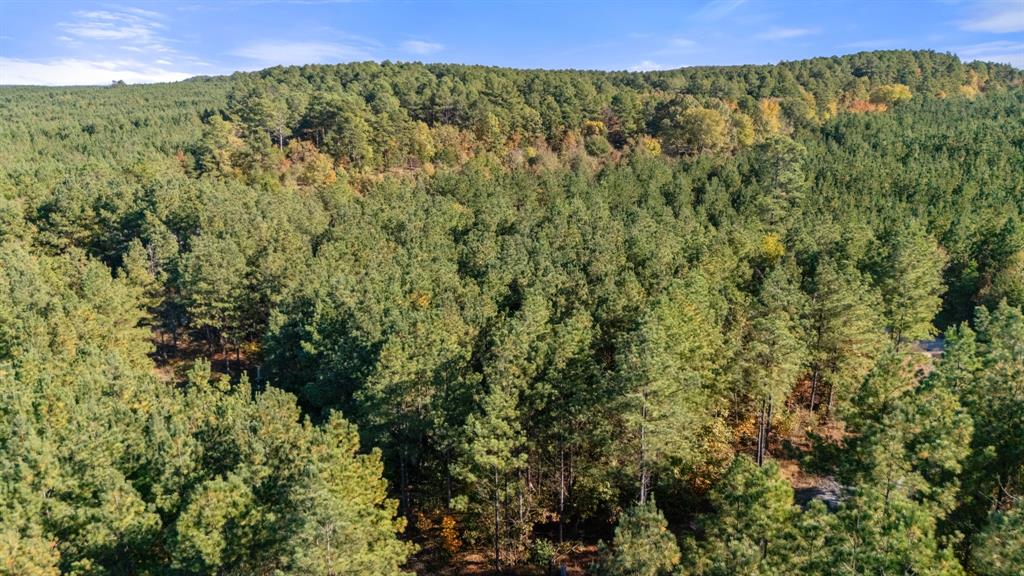 24 Cedar Tree Trail
