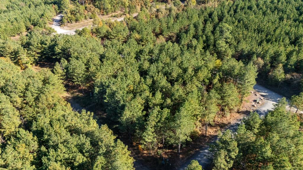 24 Cedar Tree Trail