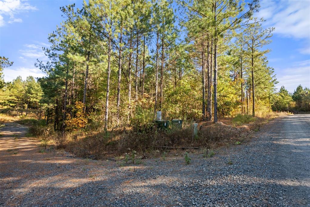 24 Cedar Tree Trail