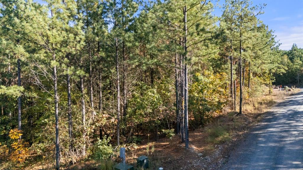 24 Cedar Tree Trail