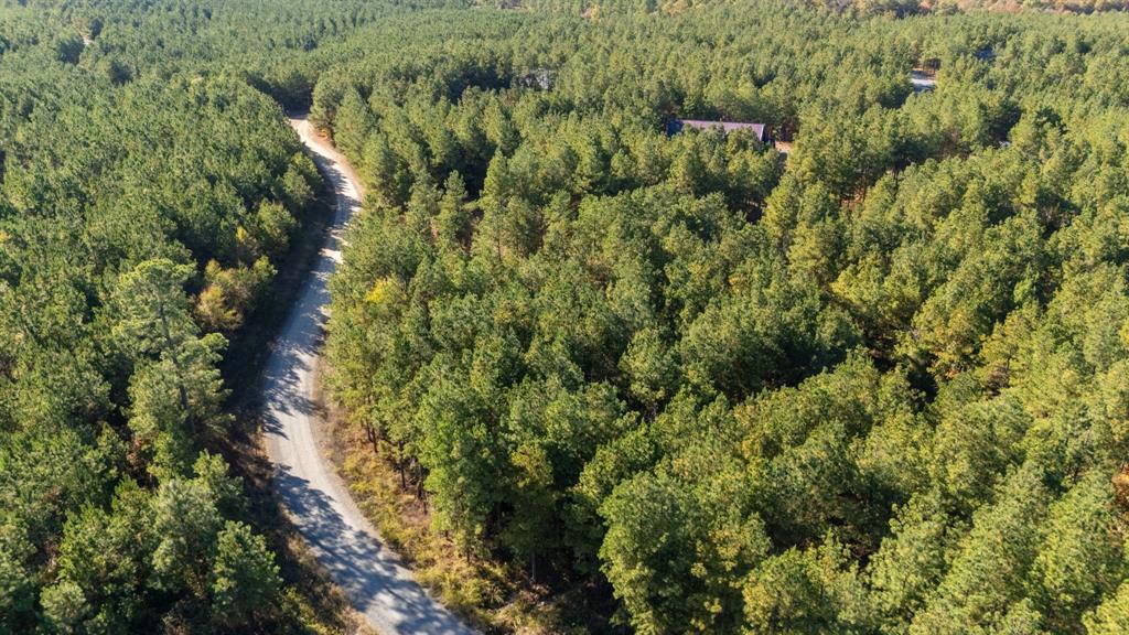 24 Cedar Tree Trail