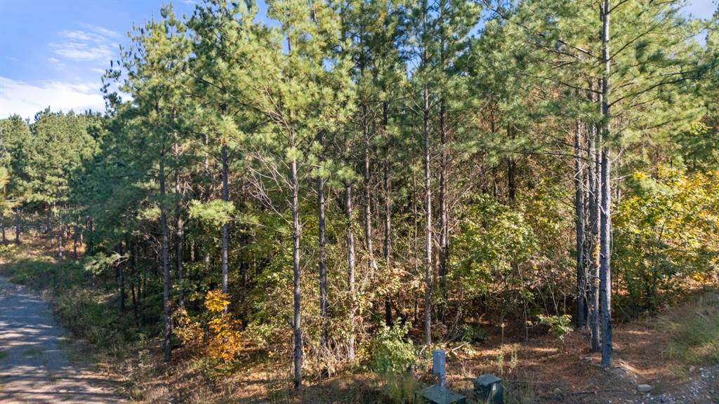 24 Cedar Tree Trail