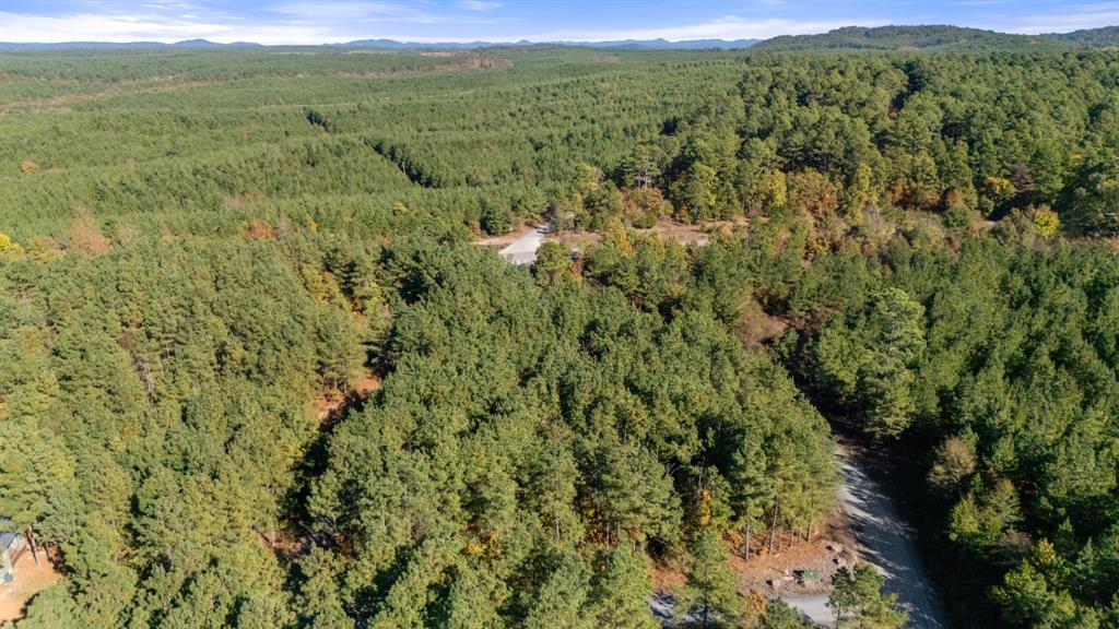 24 Cedar Tree Trail