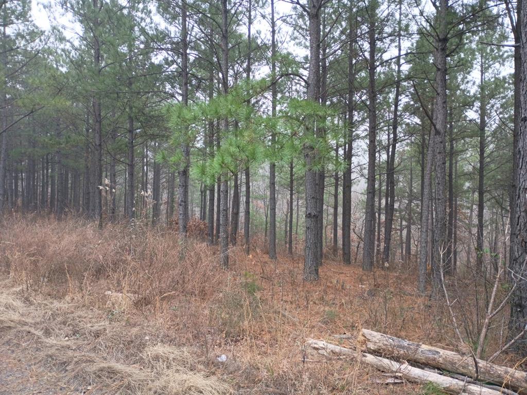 460 Timberline Trail