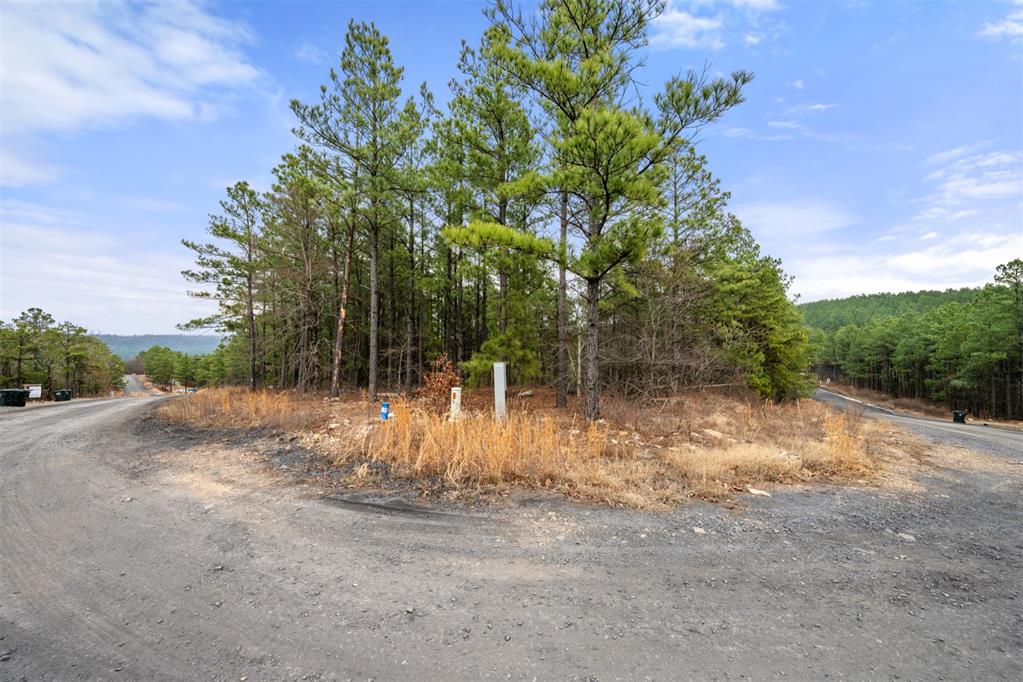 905 Timberline Trail