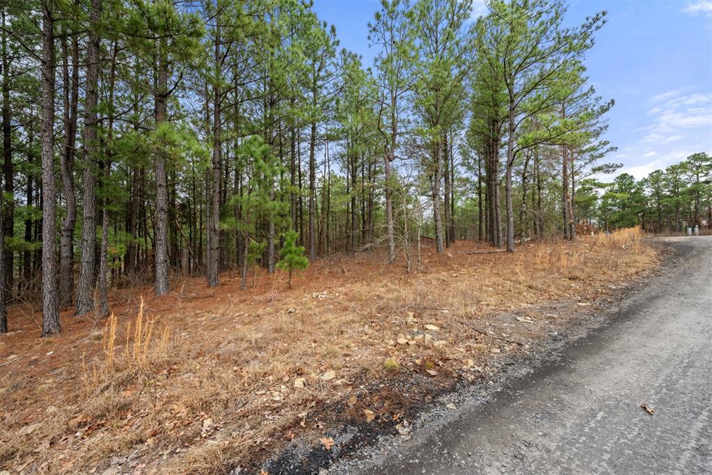 905 Timberline Trail