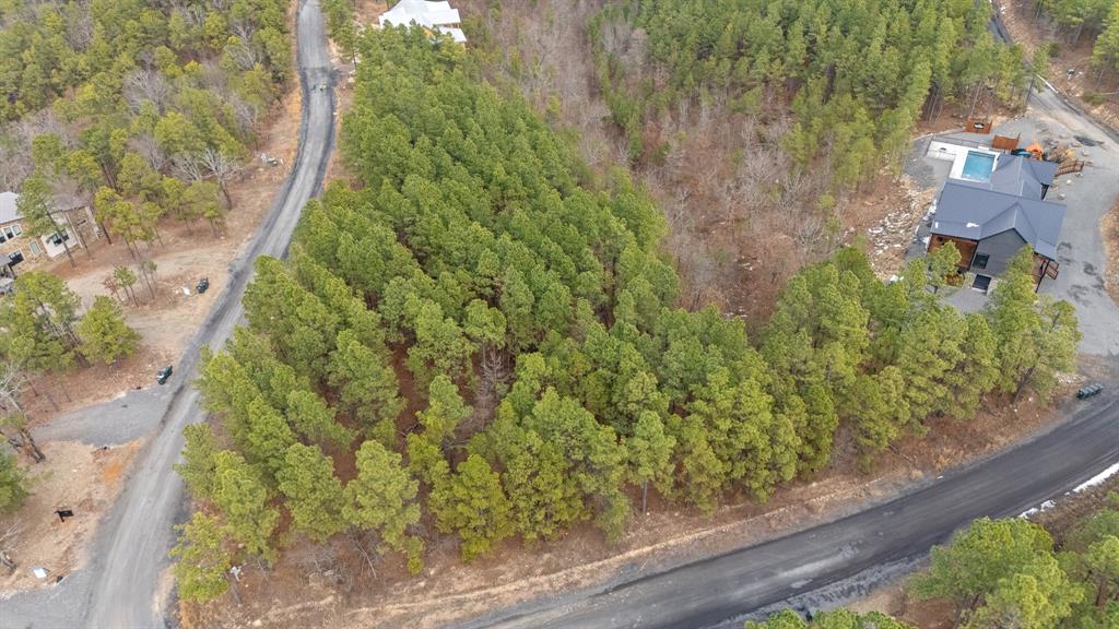 905 Timberline Trail