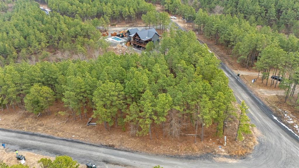 905 Timberline Trail