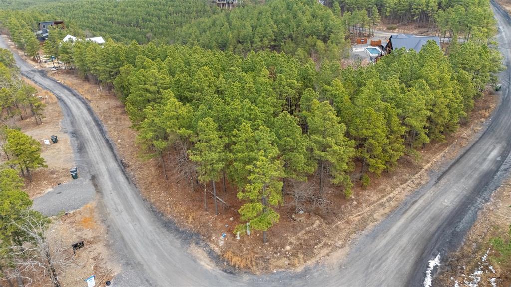 905 Timberline Trail