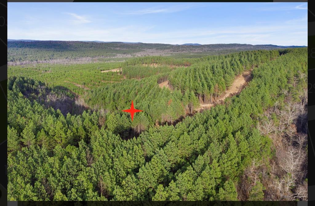 905 Timberline Trail