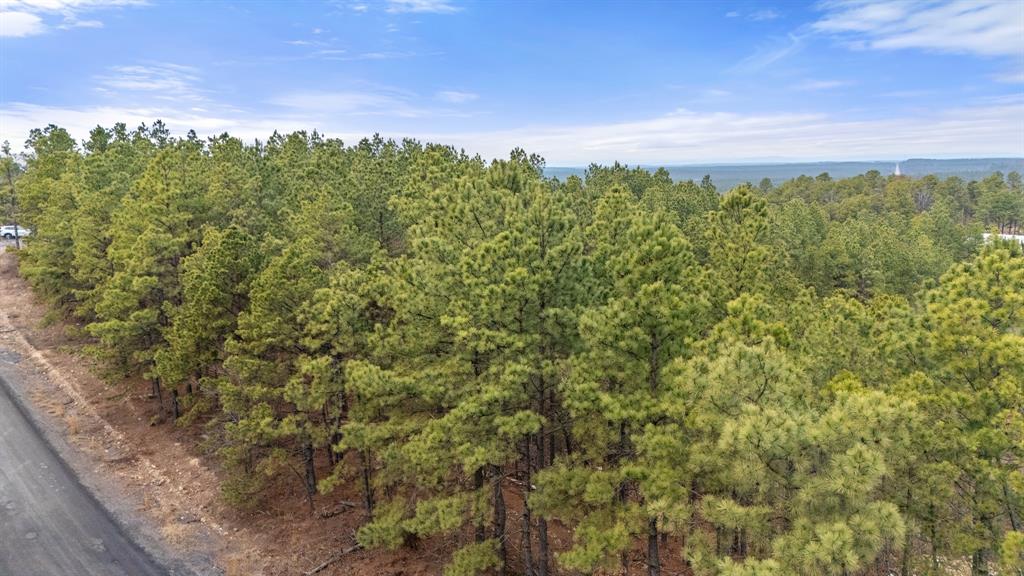 905 Timberline Trail