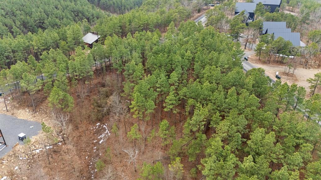 905 Timberline Trail