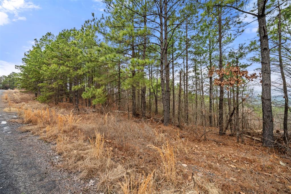 905 Timberline Trail