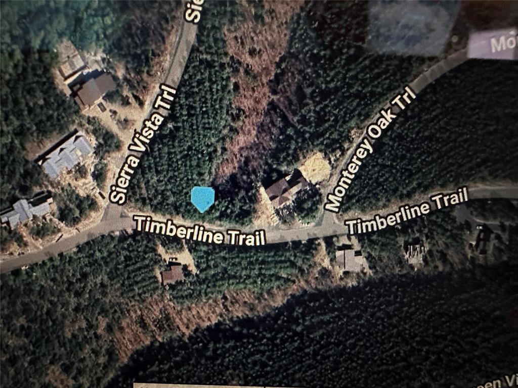 905 Timberline Trail