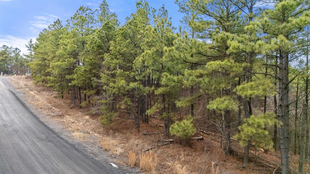 905 Timberline Trail