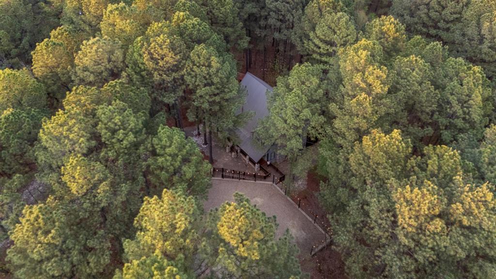 109 Mountain Pine Trail