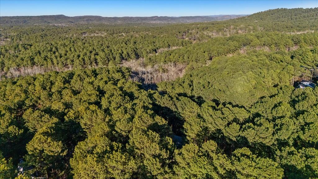 109 Mountain Pine Trail