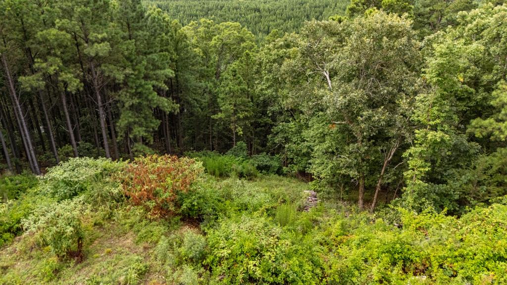 28 Alder Place