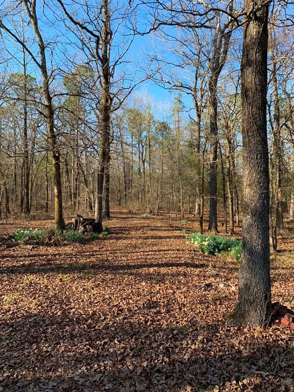 1251 Joe Hough Road