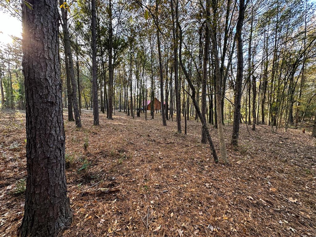 121 Ironwood Road