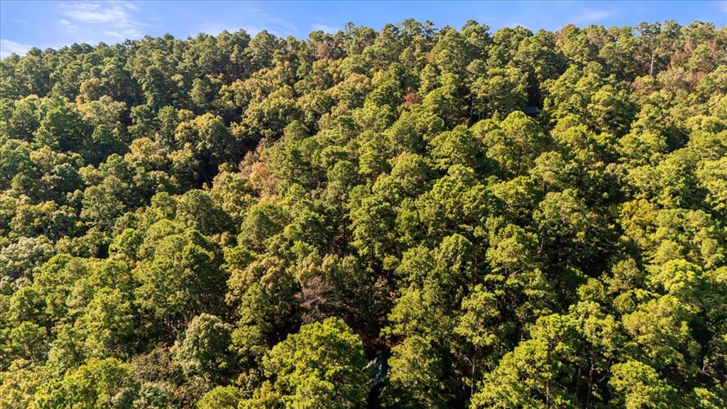 Aerial view of densely wooded land with a broad canopy of trees.