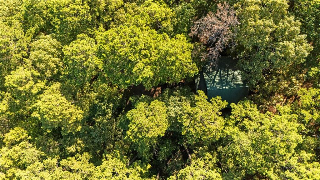 Aerial view of a cabin nestled among dense green trees.