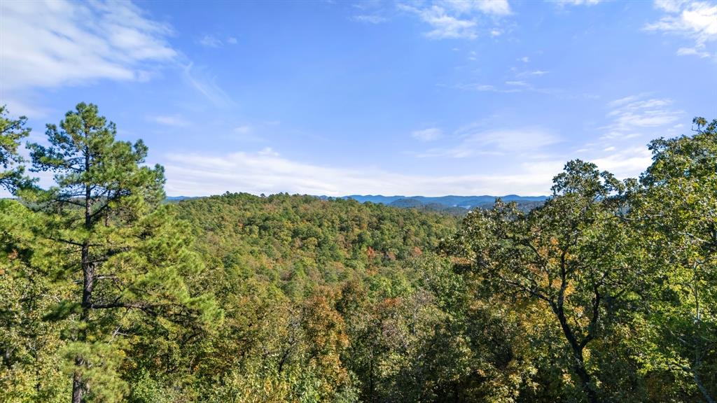 138 Vista Del Lago Trail