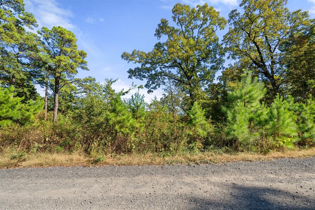 138 Vista Del Lago Trail