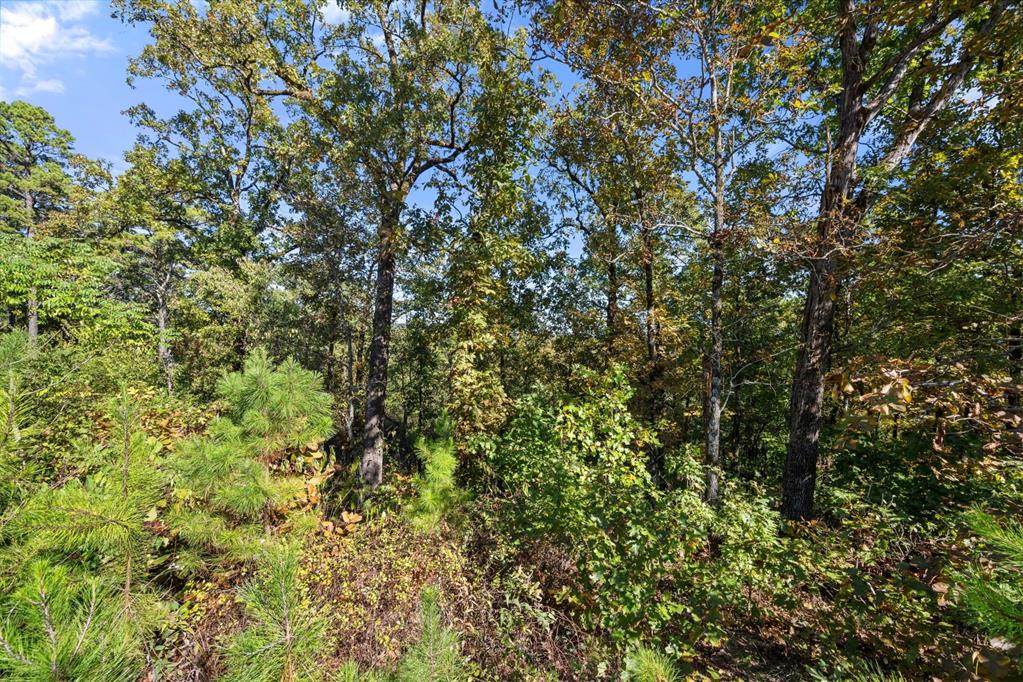 138 Vista Del Lago Trail