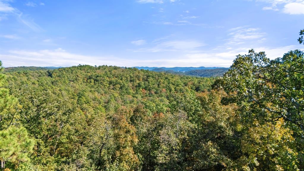 138 Vista Del Lago Trail