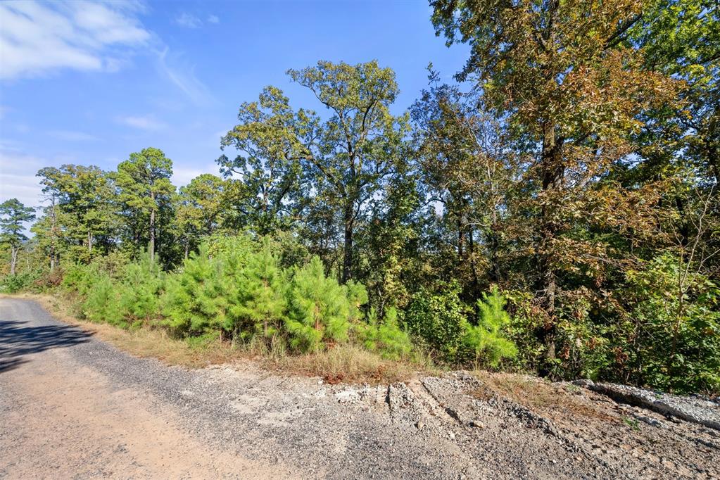 138 Vista Del Lago Trail