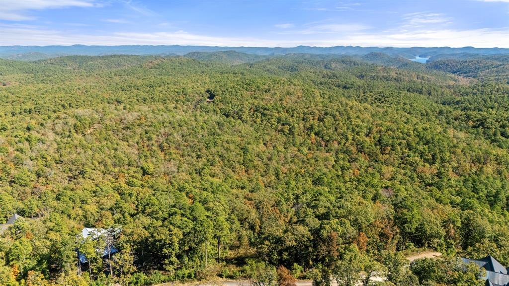 138 Vista Del Lago Trail