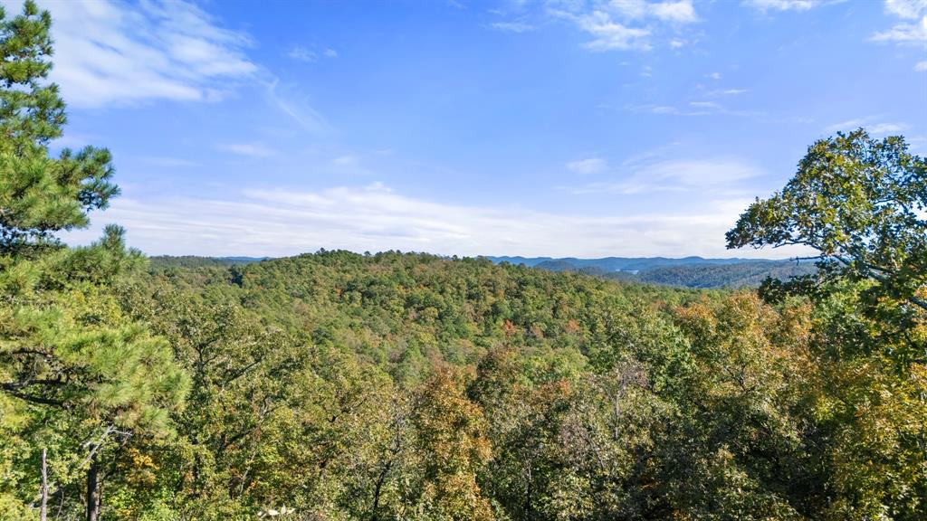 138 Vista Del Lago Trail