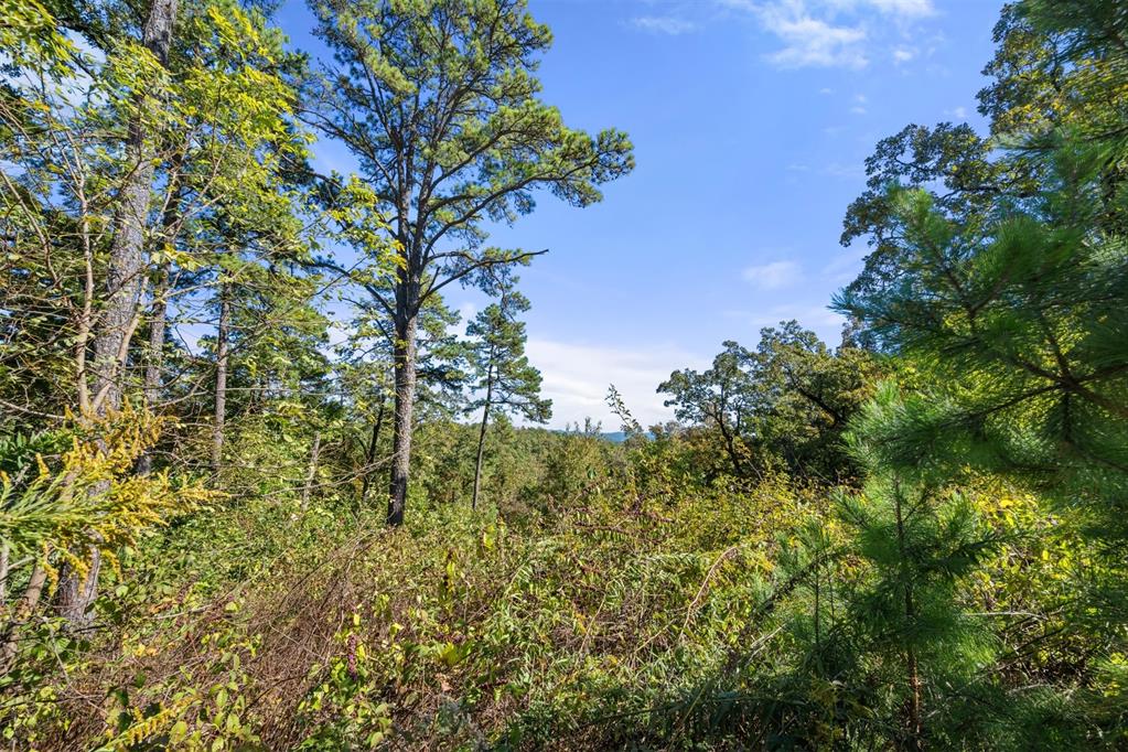 138 Vista Del Lago Trail