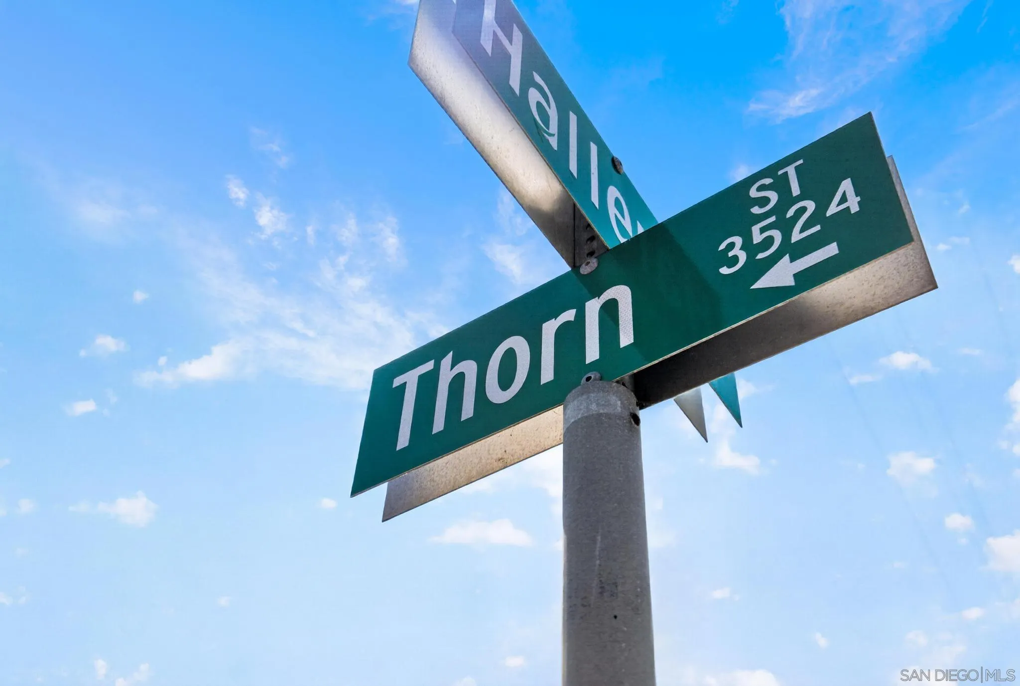 3524 Thorn
