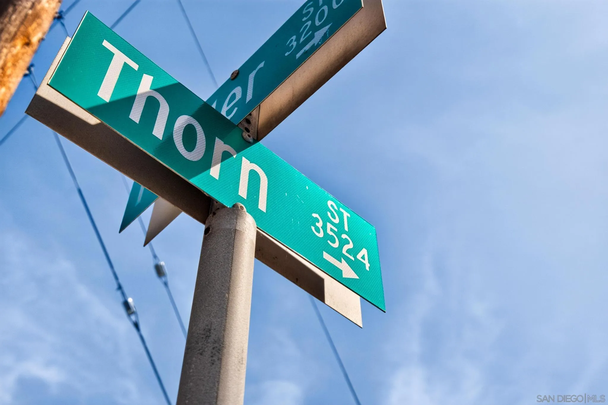 3524 Thorn