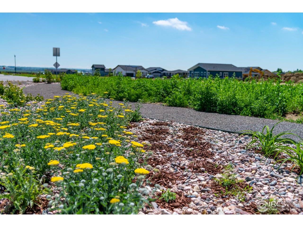 1911 Morningstar Way 5