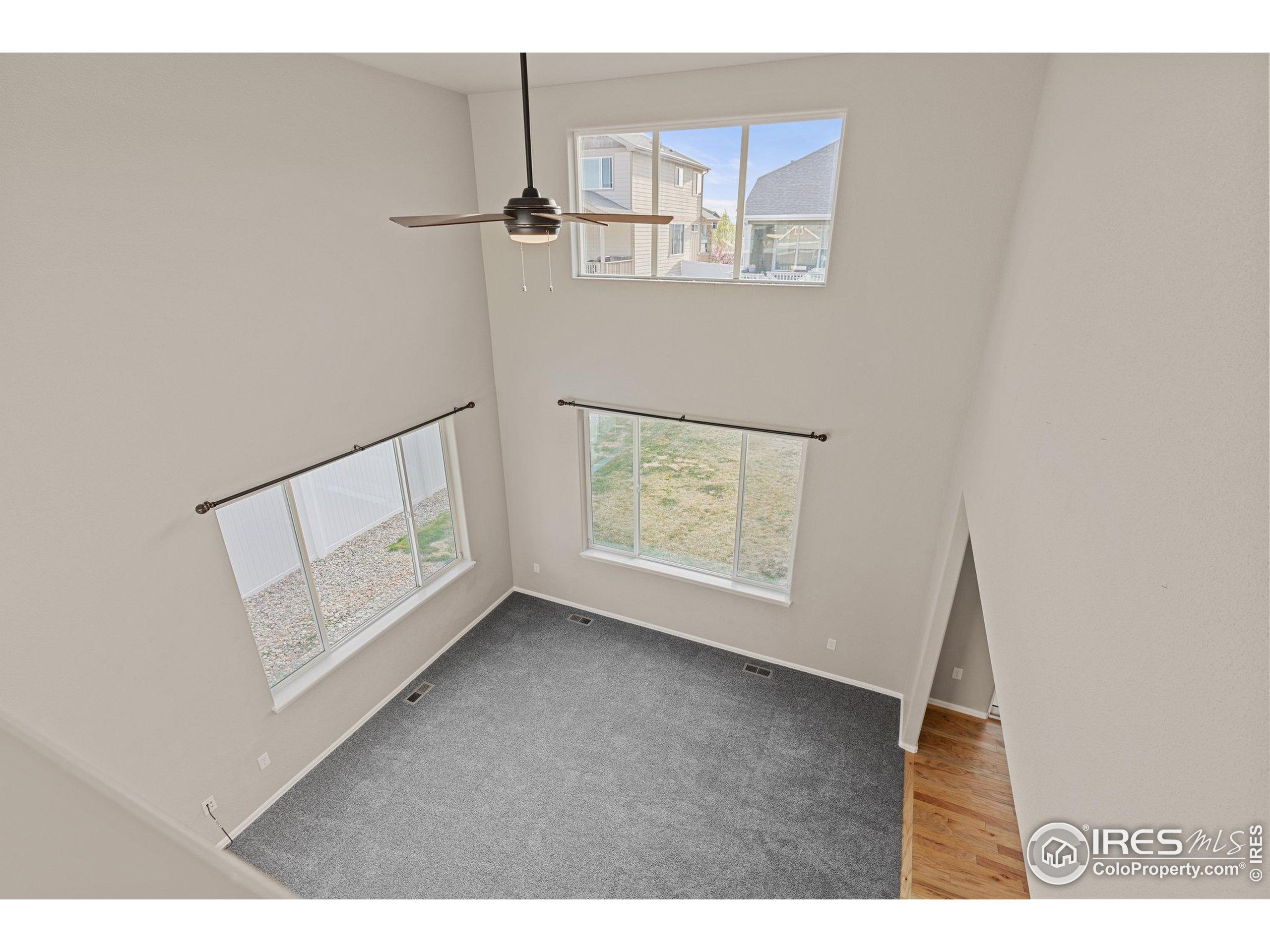 807 Mt Sneffels Ave