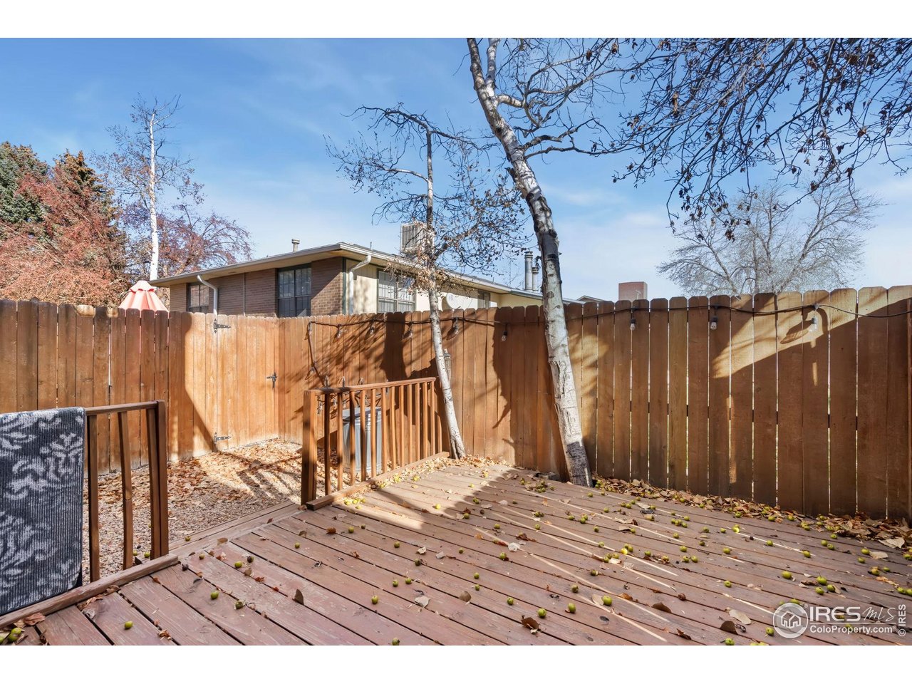 1464 Capulin Dr